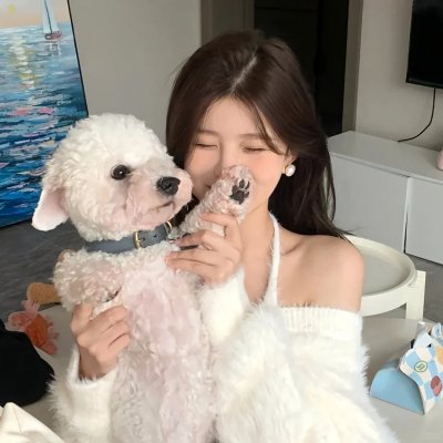 理查大冒险