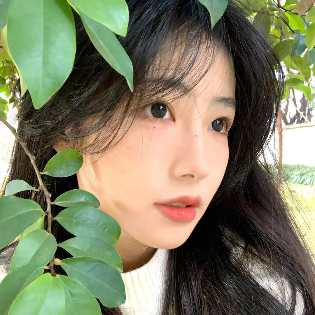 迷魂阵